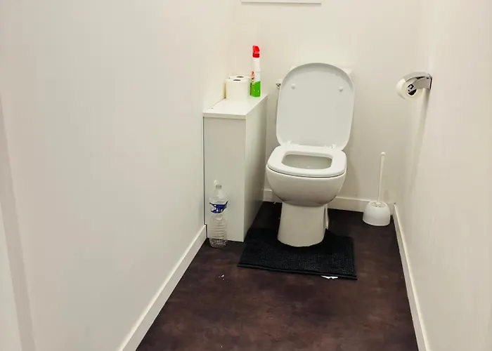 Spacieuse Et Lumineuse