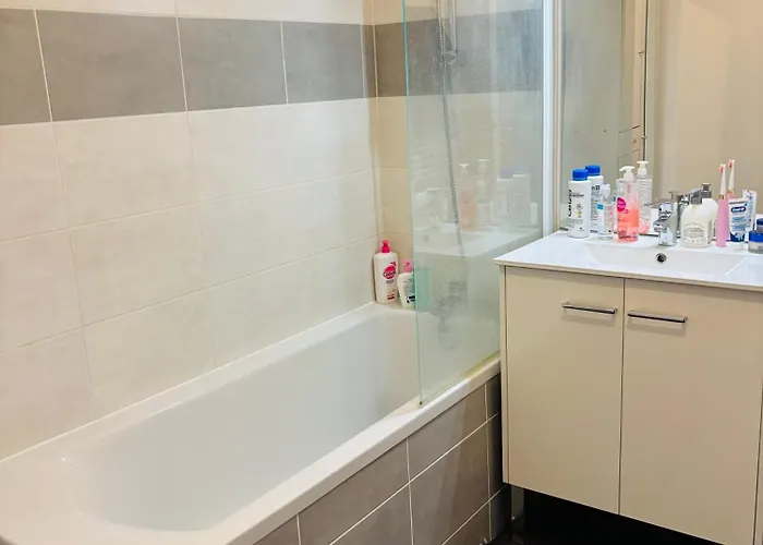 Spacieuse Et Lumineuse